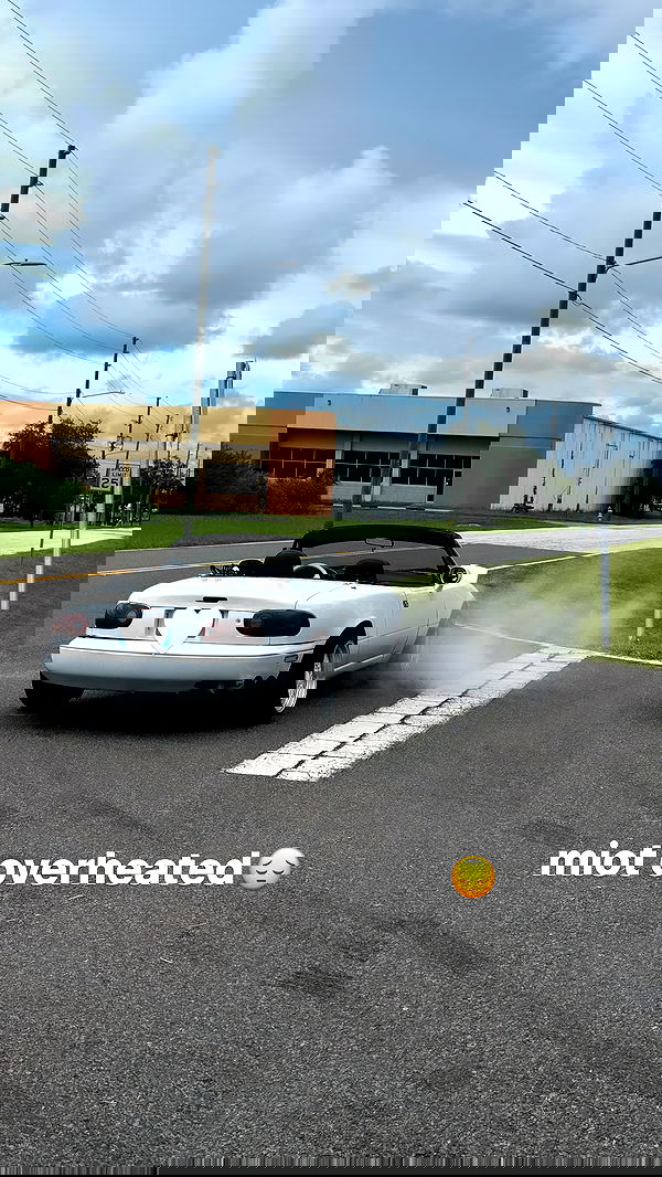 6nattynat9 6nattynat9 archive image