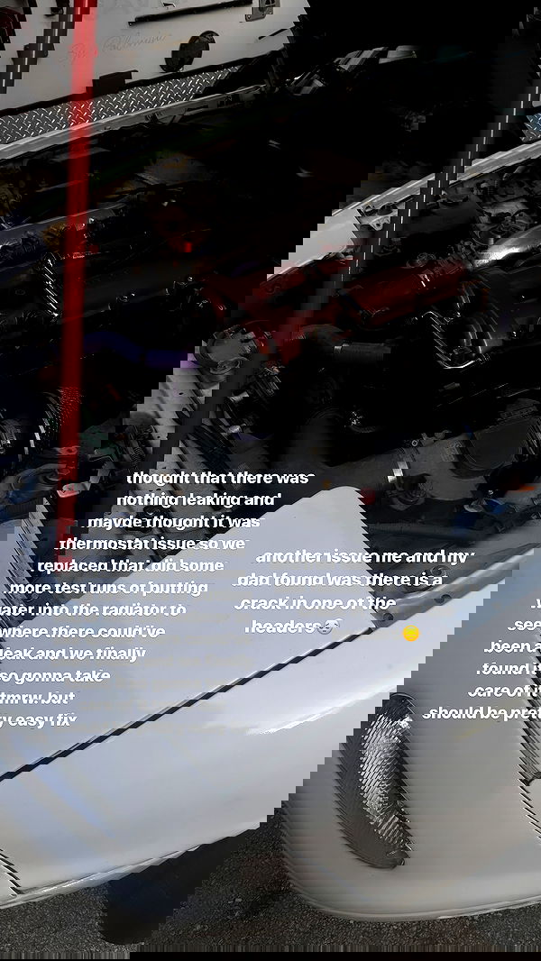 6nattynat9 6nattynat9 archive image