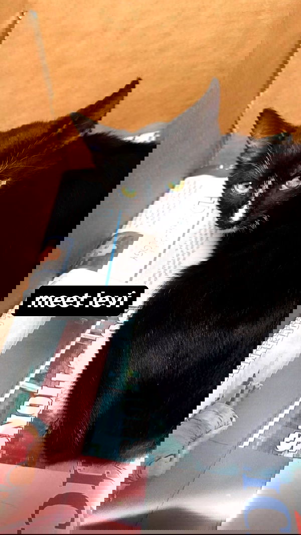 6nattynat9 6nattynat9 archive image