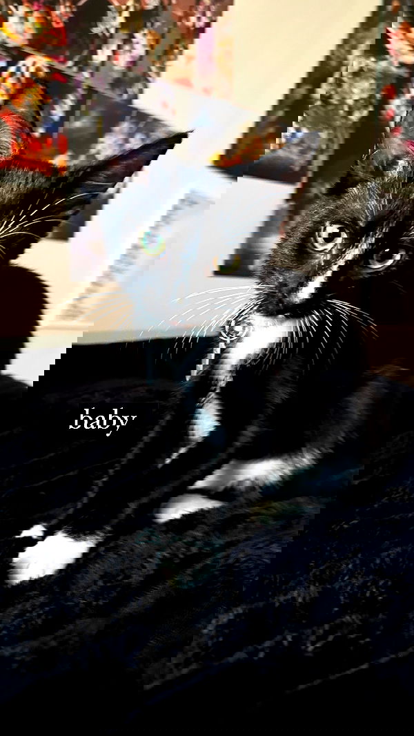 6nattynat9 6nattynat9 archive image