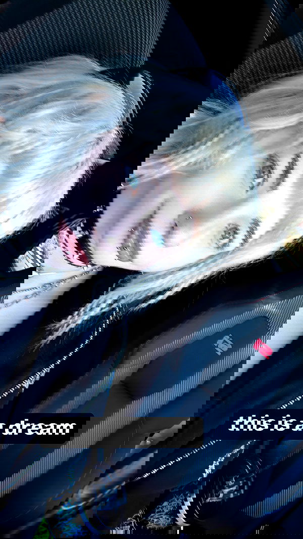 6nattynat9 6nattynat9 archive image