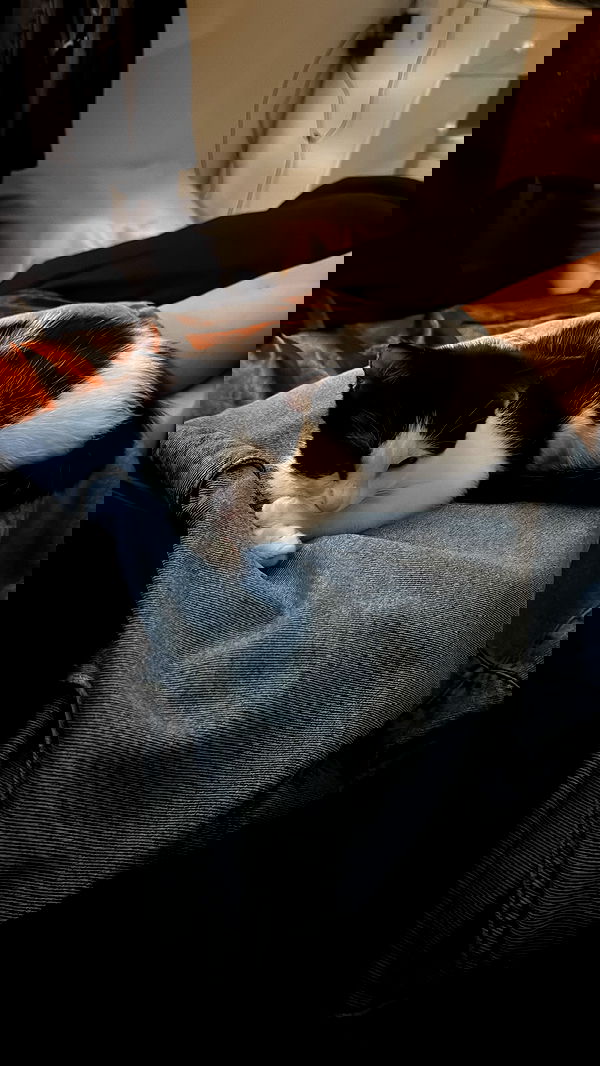 6nattynat9 6nattynat9 archive image