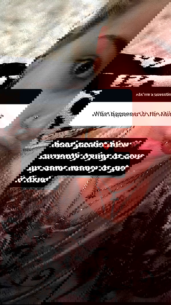 6nattynat9 6nattynat9 archive image