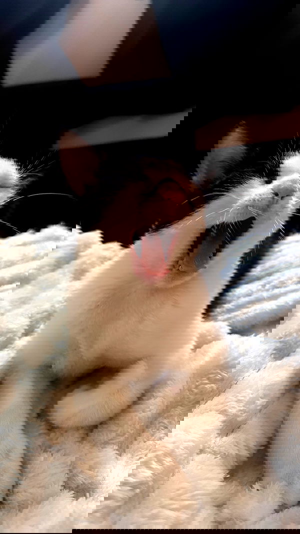 6nattynat9 6nattynat9 archive image