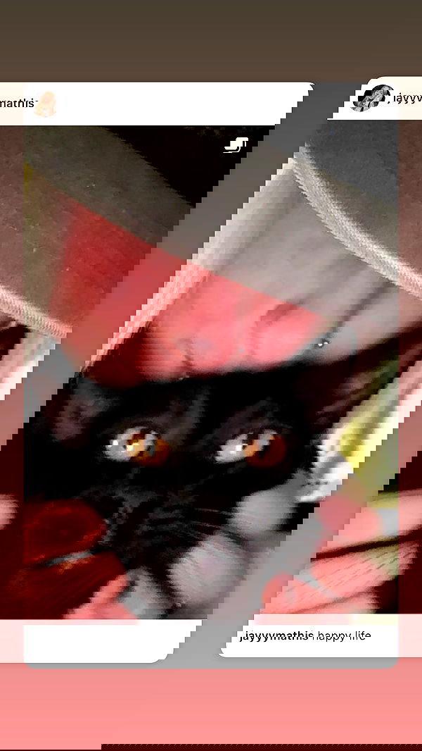 6nattynat9 6nattynat9 archive image