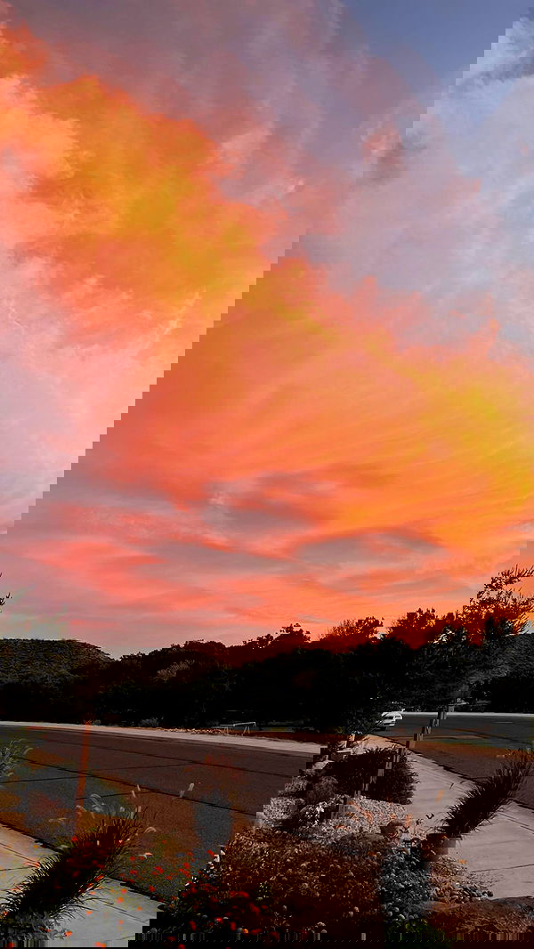 7lems7 7lems7 archive image