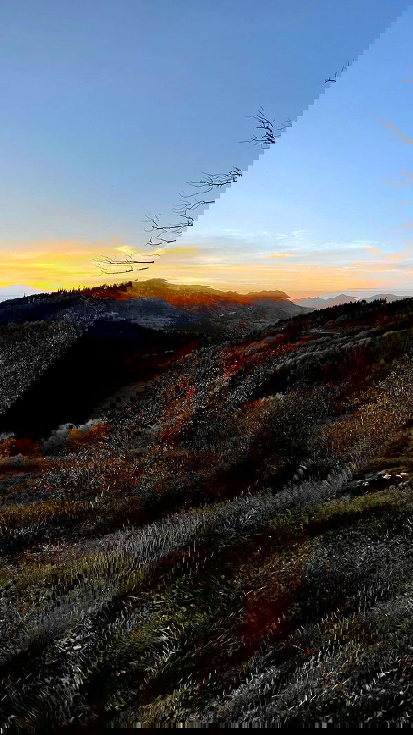 7lems7 7lems7 archive image