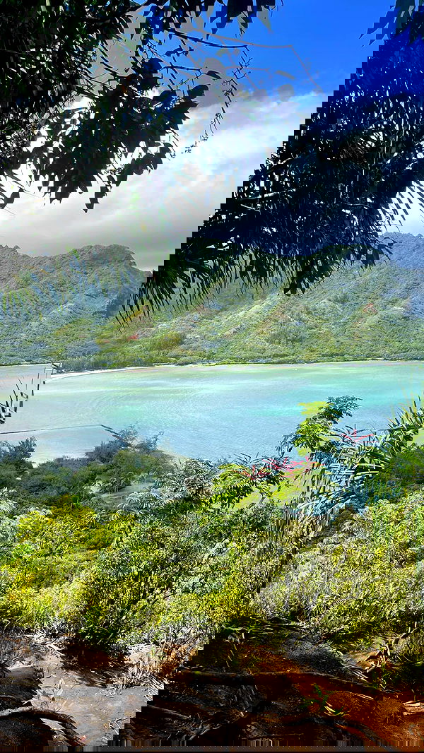 7lems7 7lems7 archive image