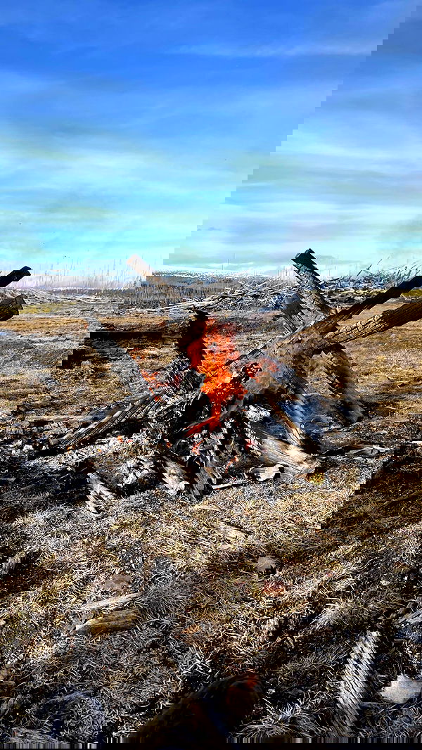 7lems7 7lems7 archive image