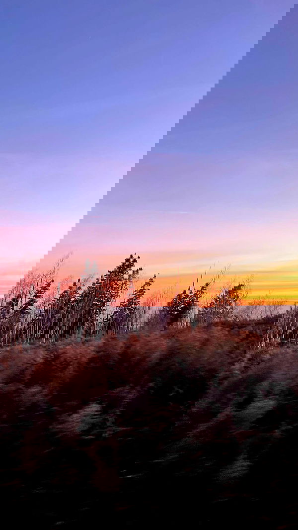 7lems7 7lems7 archive image