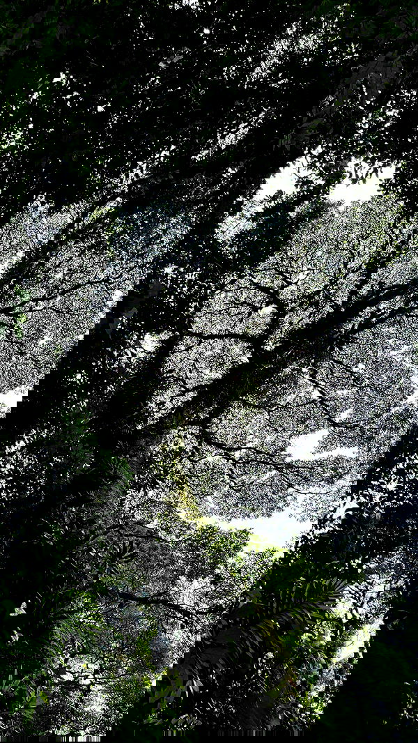 7lems7 7lems7 archive image