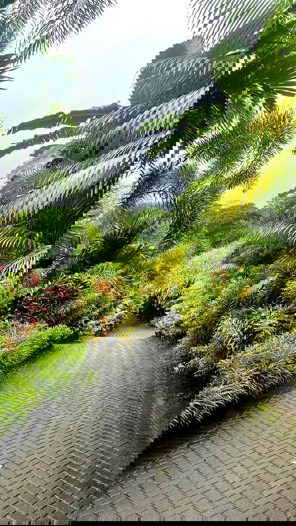 7lems7 7lems7 archive image