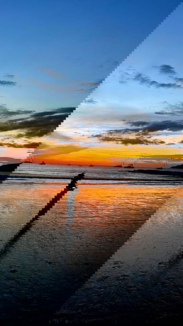 7lems7 7lems7 archive image