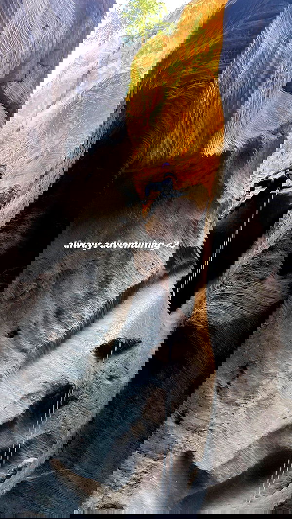 7lems7 7lems7 archive image