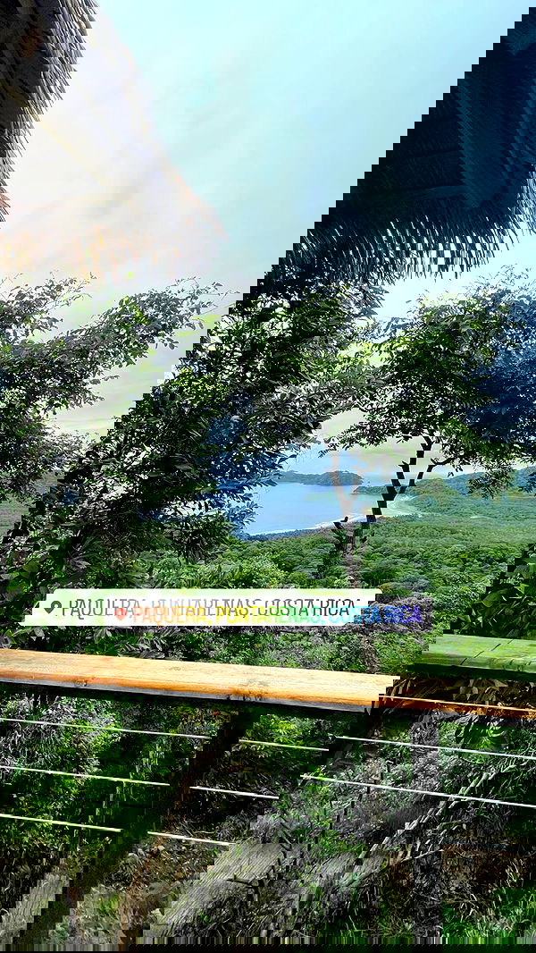 7lems7 7lems7 archive image