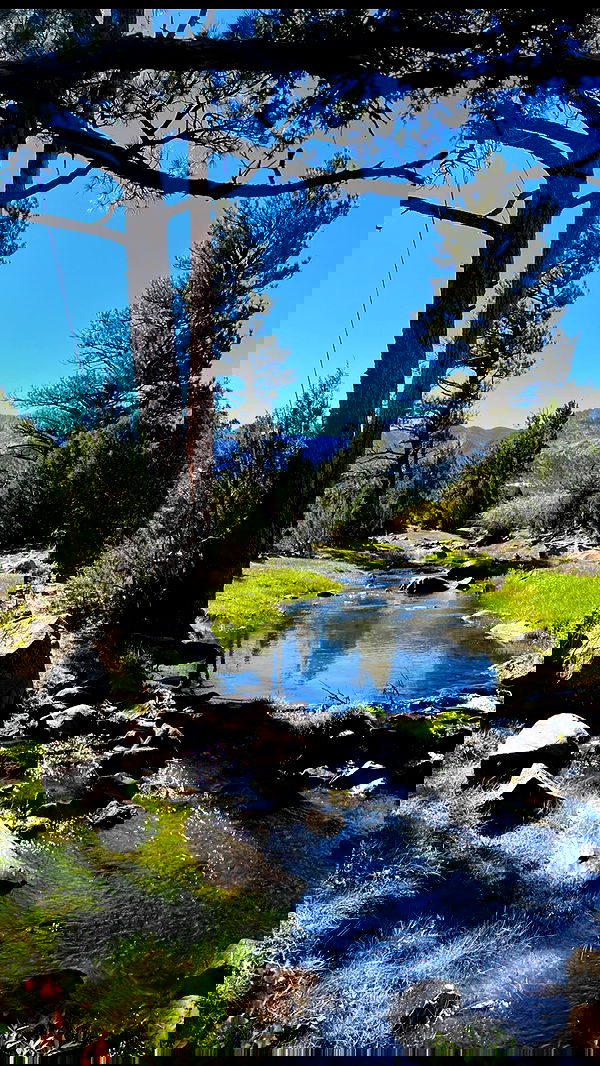 7lems7 7lems7 archive image