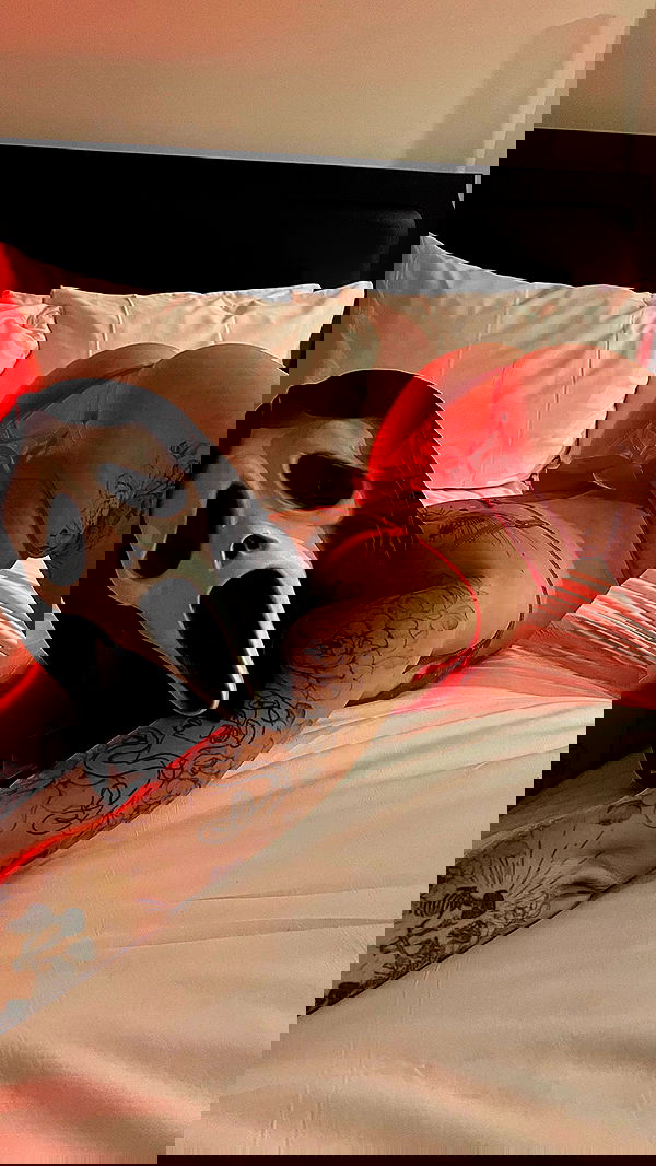 7lems7 7lems7 archive image