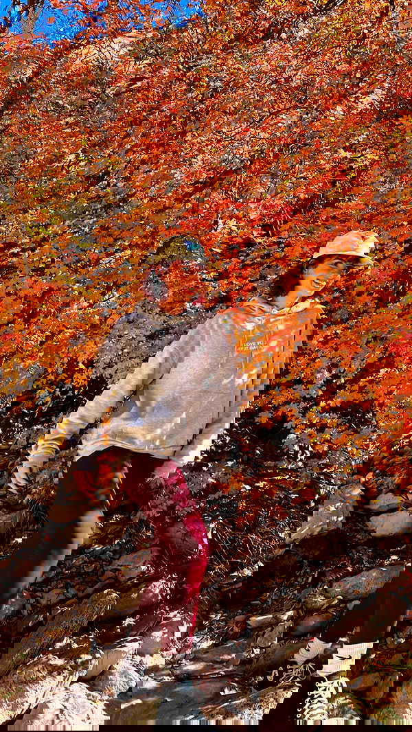 7lems7 7lems7 archive image