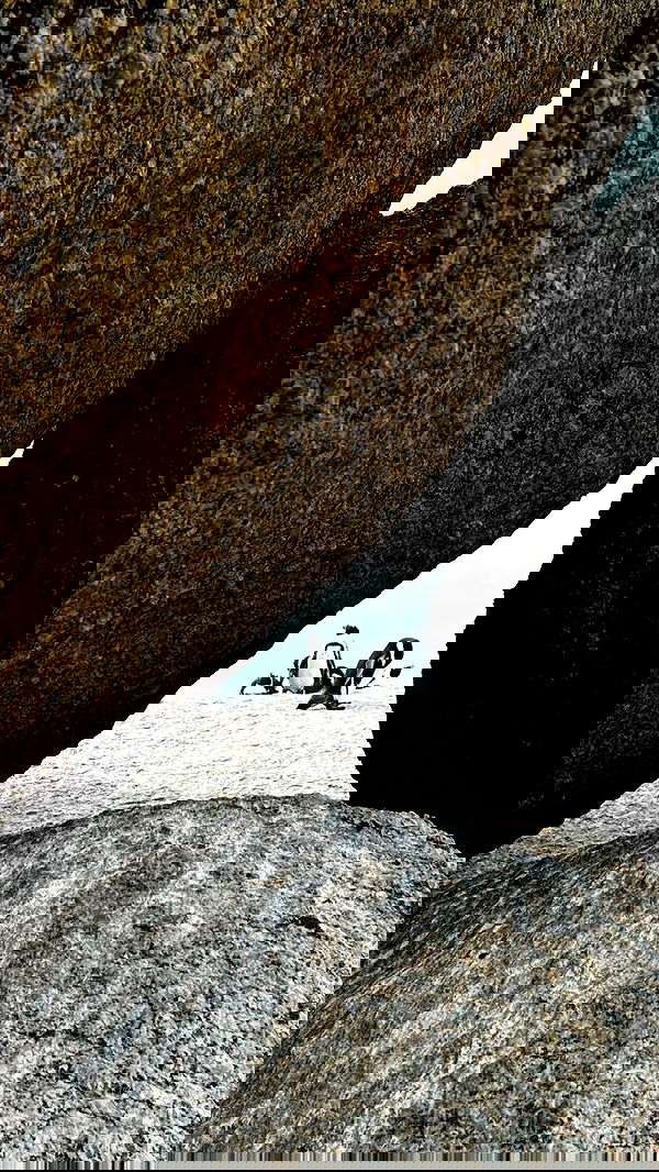 7lems7 7lems7 archive image