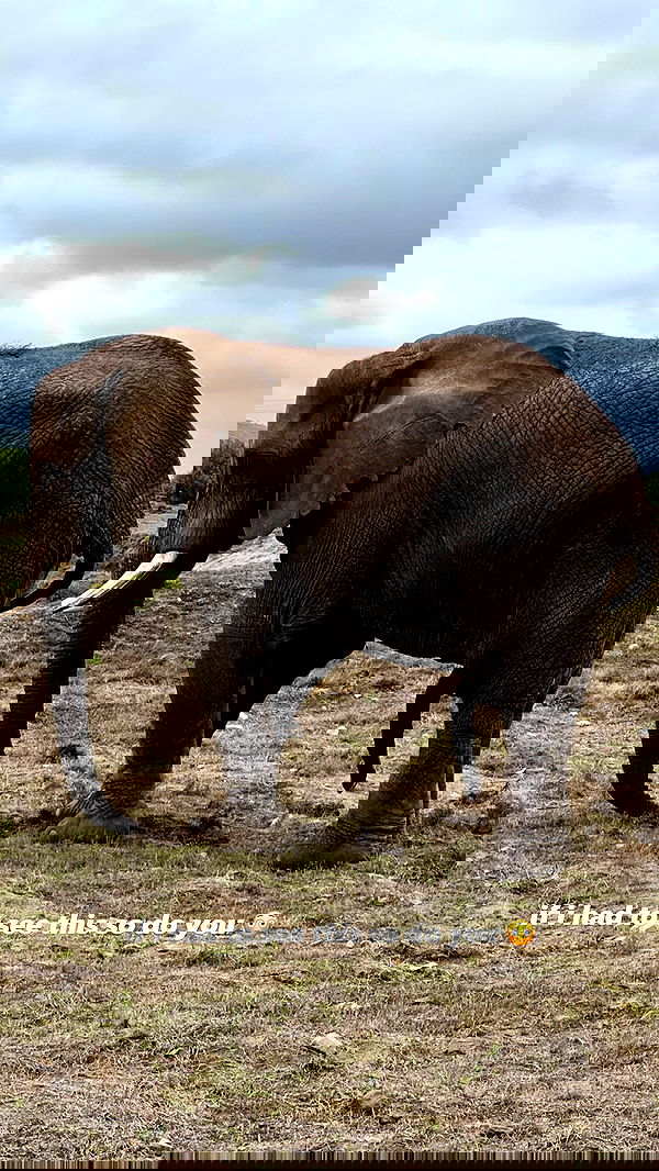 7lems7 7lems7 archive image