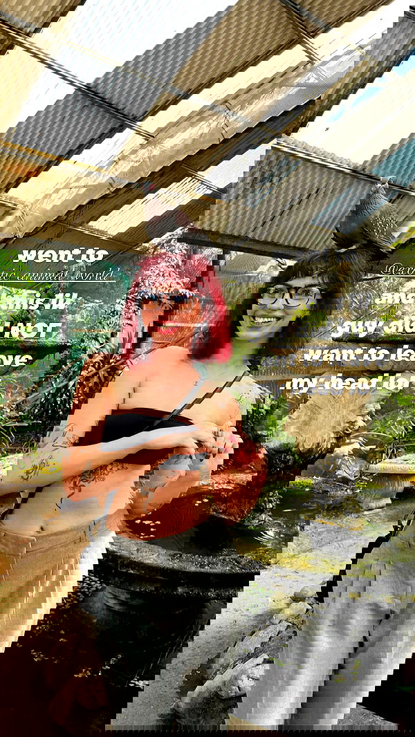 7lems7 7lems7 archive image