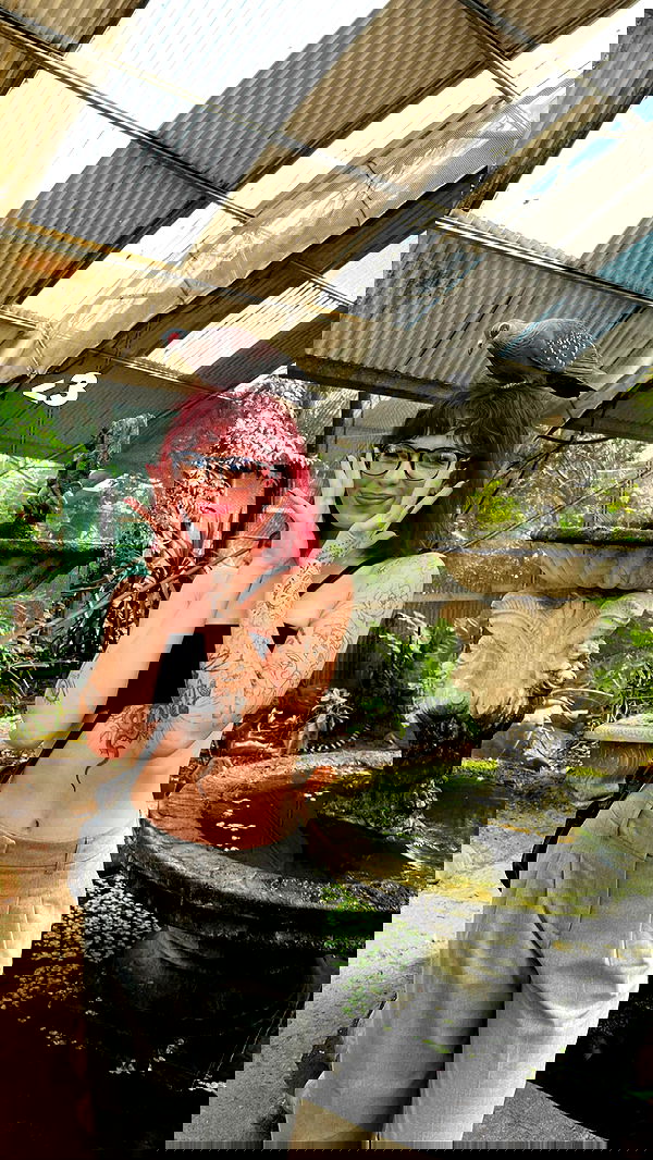 7lems7 7lems7 archive image