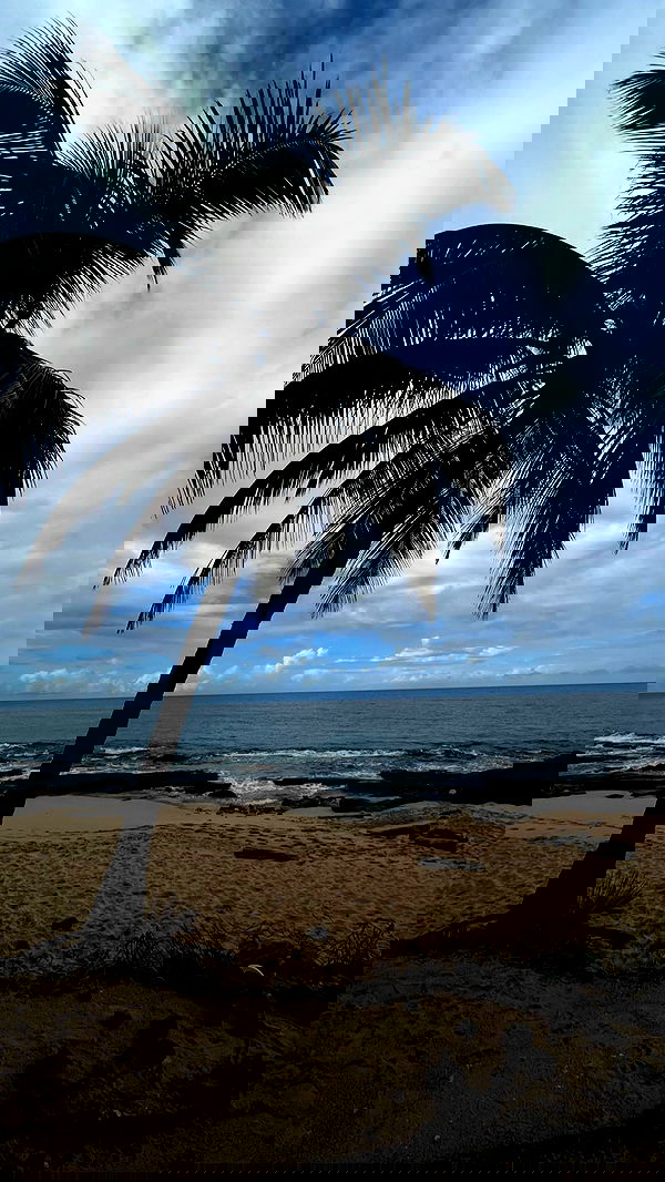 7lems7 7lems7 archive image