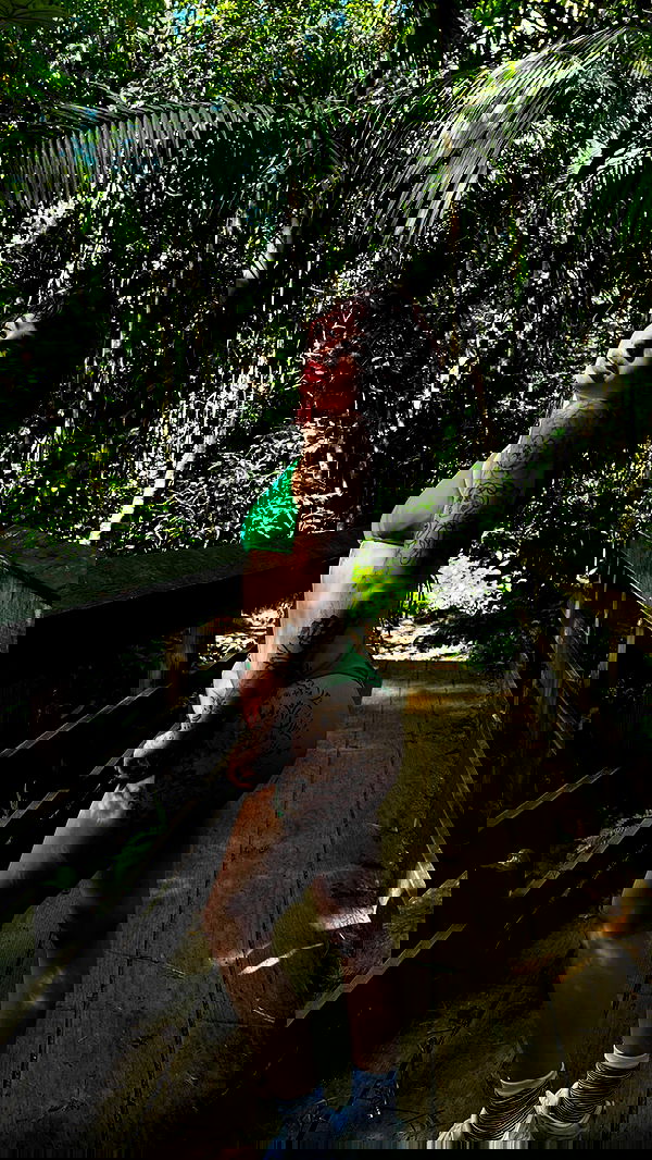 7lems7 7lems7 archive image