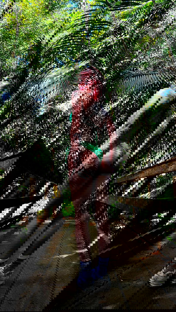 7lems7 7lems7 archive image