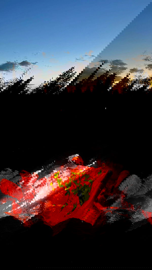 7lems7 7lems7 archive image