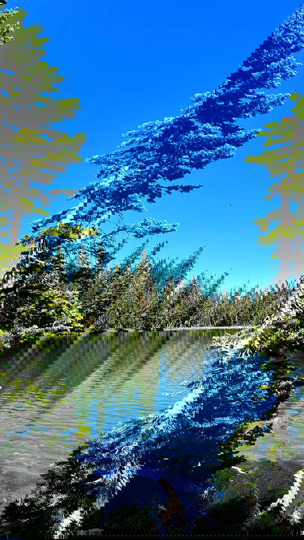 7lems7 7lems7 archive image