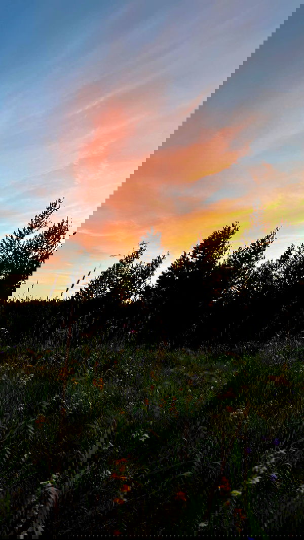 7lems7 7lems7 archive image