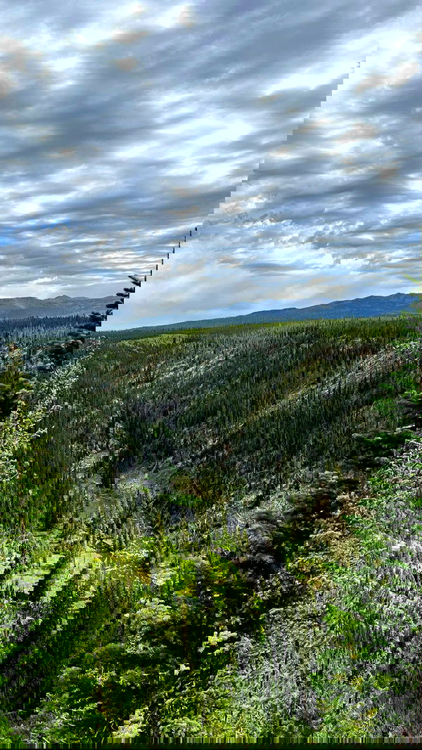 7lems7 7lems7 archive image