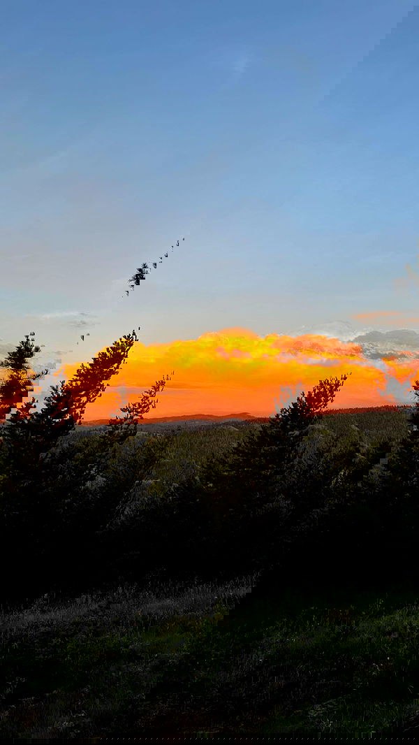 7lems7 7lems7 archive image