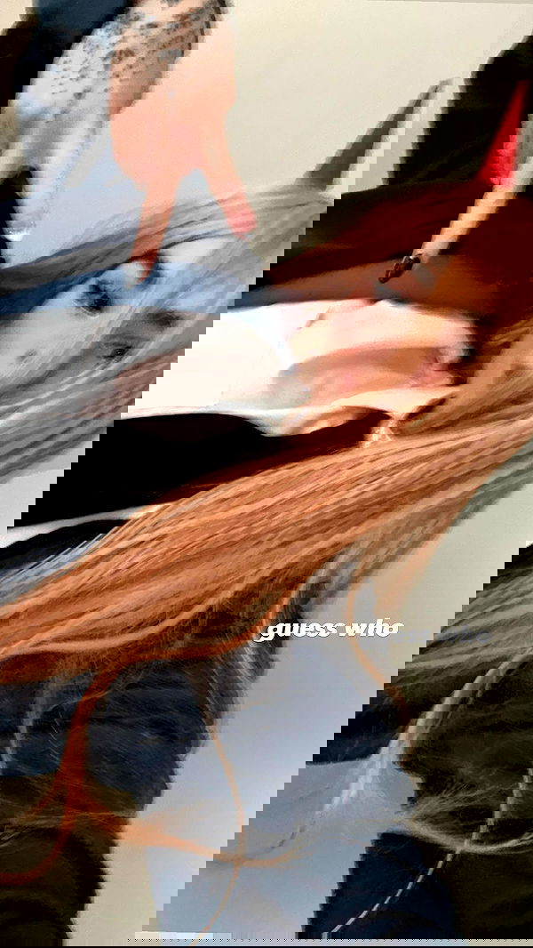 7lems7 7lems7 archive image