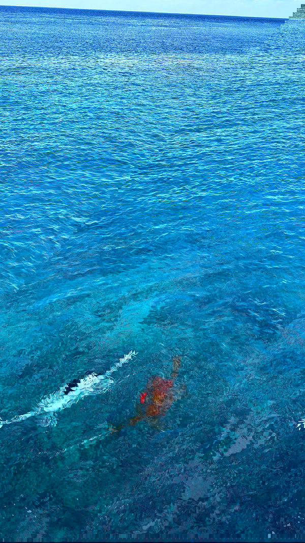 7lems7 7lems7 archive image