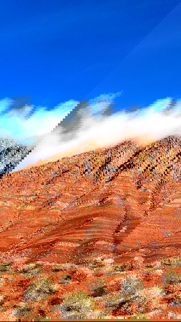 7lems7 7lems7 archive image