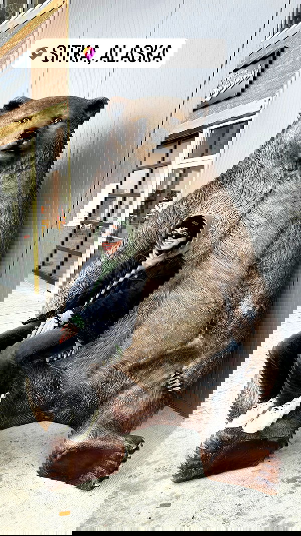 7lems7 7lems7 archive image