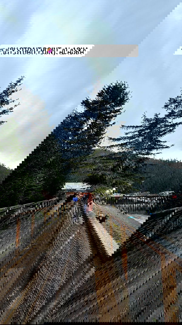 7lems7 7lems7 archive image