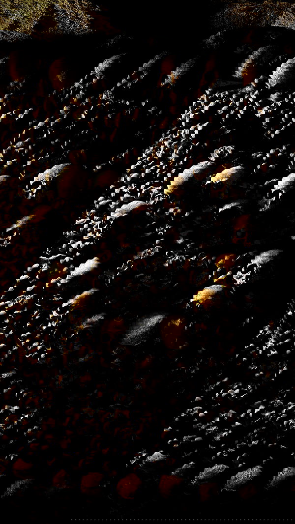 7lems7 7lems7 archive image