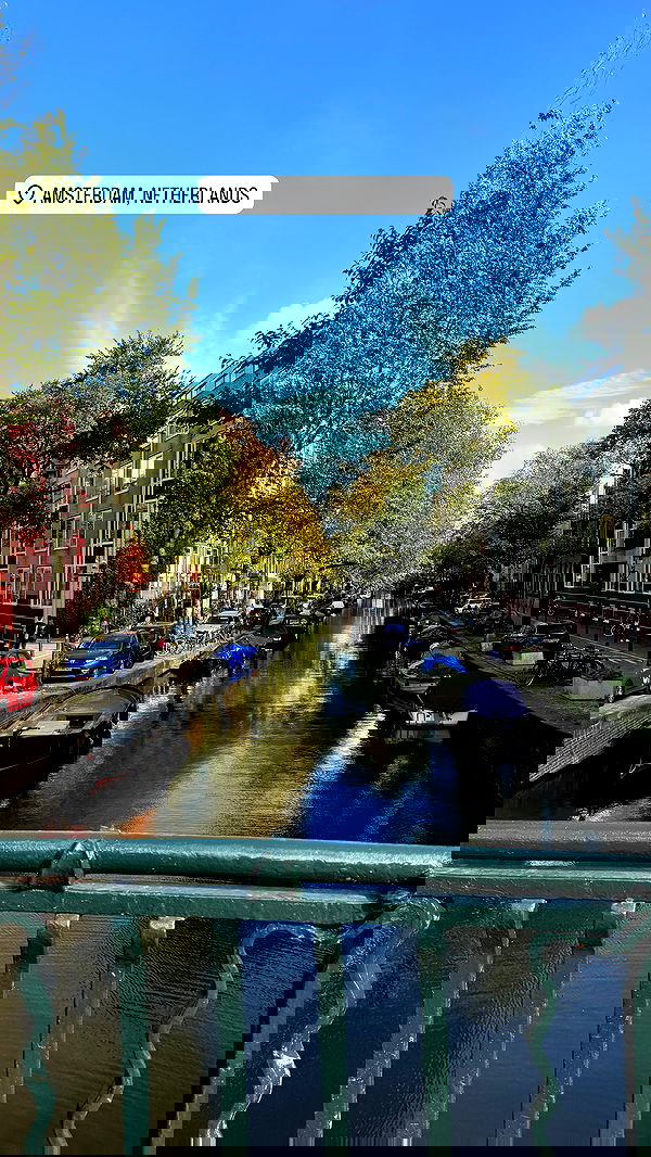 7lems7 7lems7 archive image