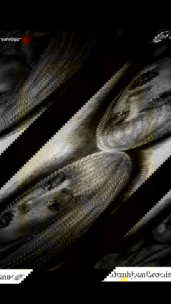 7lems7 7lems7 archive image