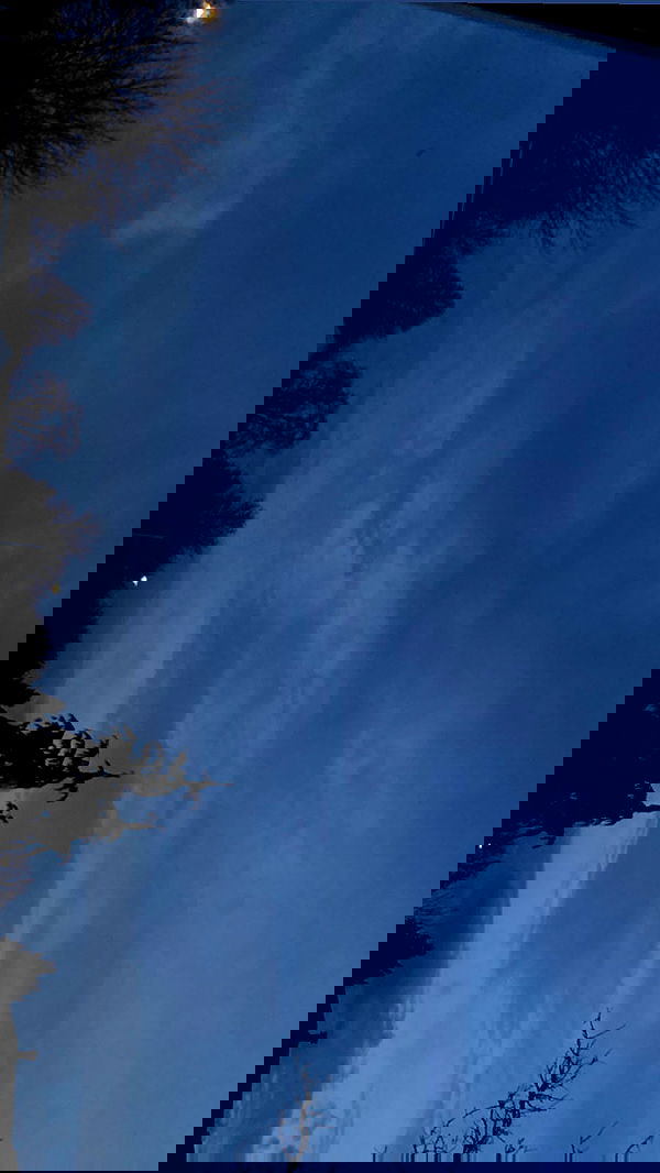 9bitez 9bitez archive image