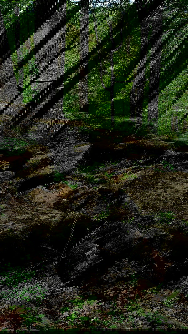 9bitez 9bitez archive image