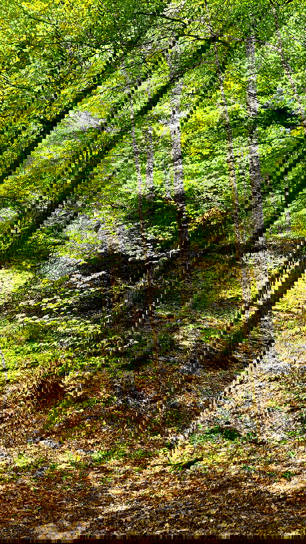 9bitez 9bitez archive image