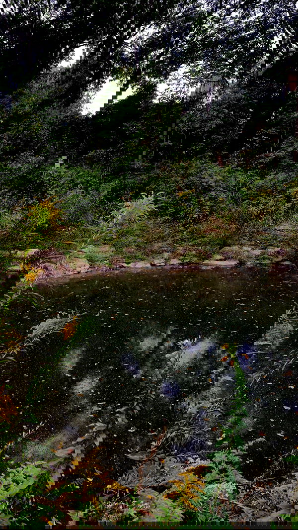 9bitez 9bitez archive image