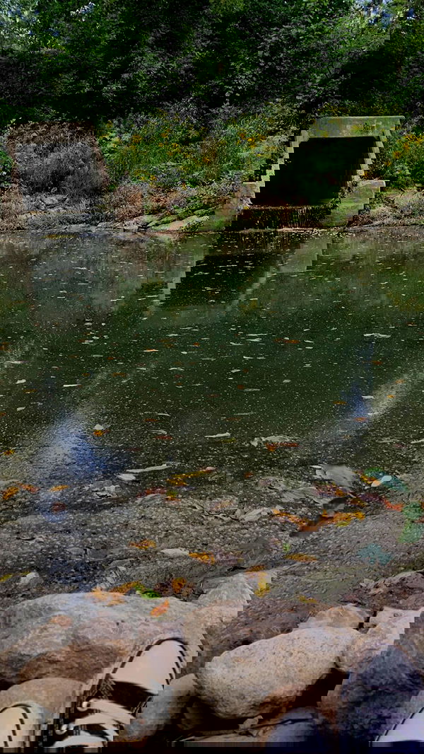 9bitez 9bitez archive image