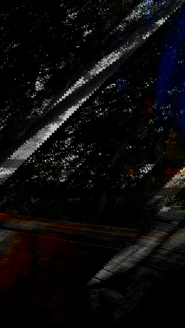 9bitez 9bitez archive image