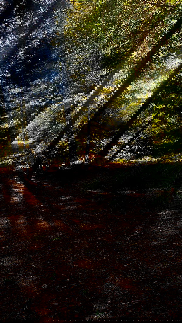 9bitez 9bitez archive image