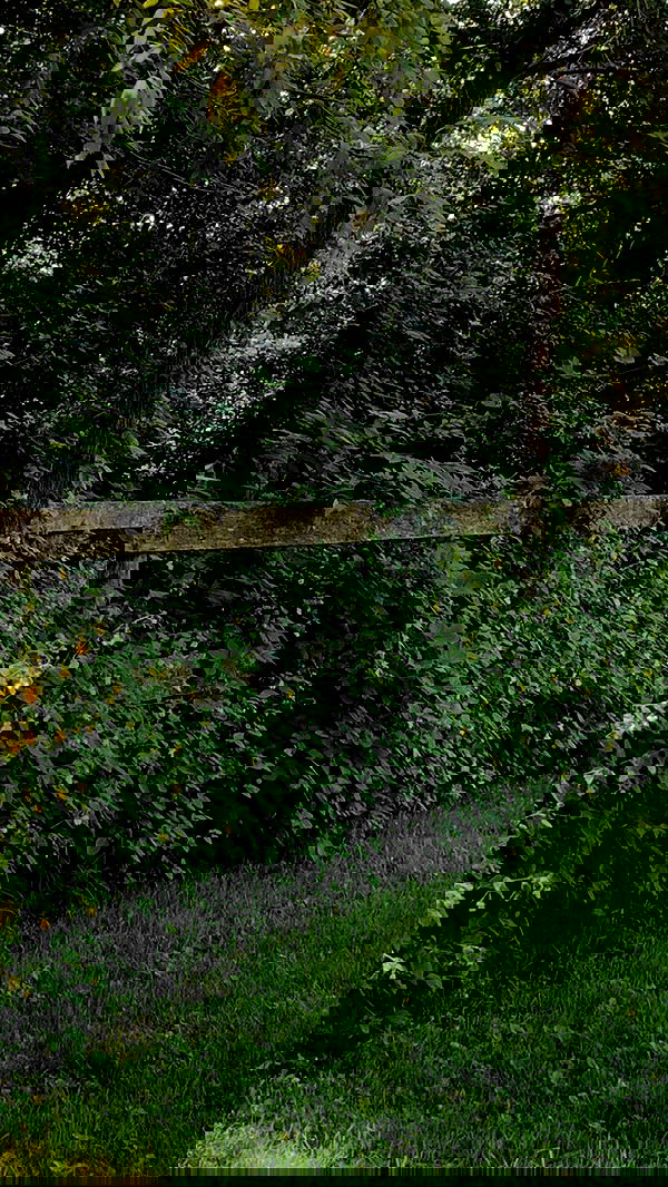 9bitez 9bitez archive image